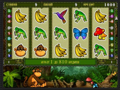 Crazy monkey 2