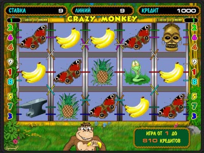 Crazy monkey слот